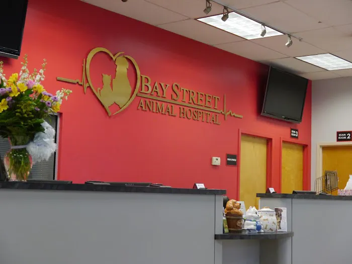 Bay Street Animal Hospital Picture 8