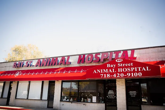 Bay Street Animal Hospital Picture 9