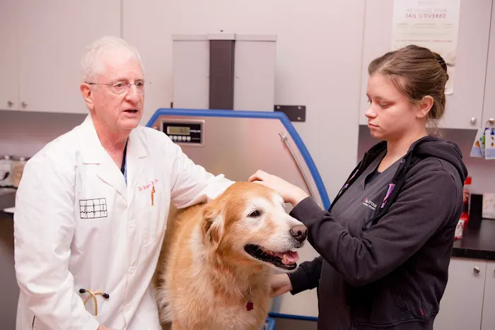 Bay Street Animal Hospital Picture 10