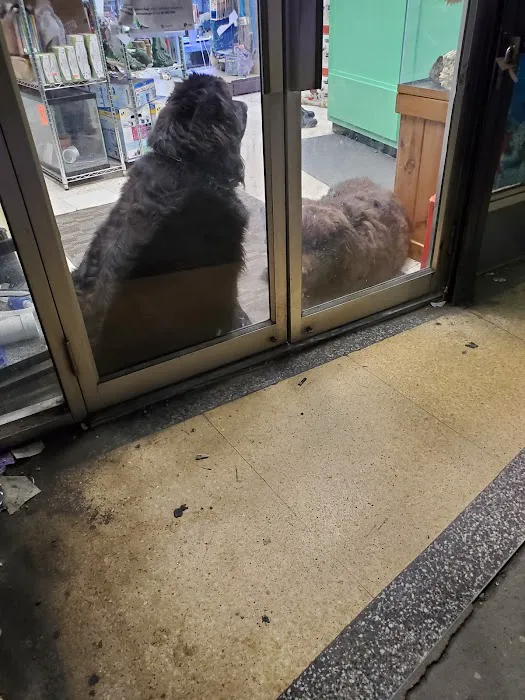 Pet Shop Picture 8