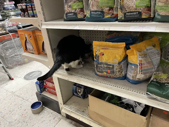 Pet Shop Picture 6