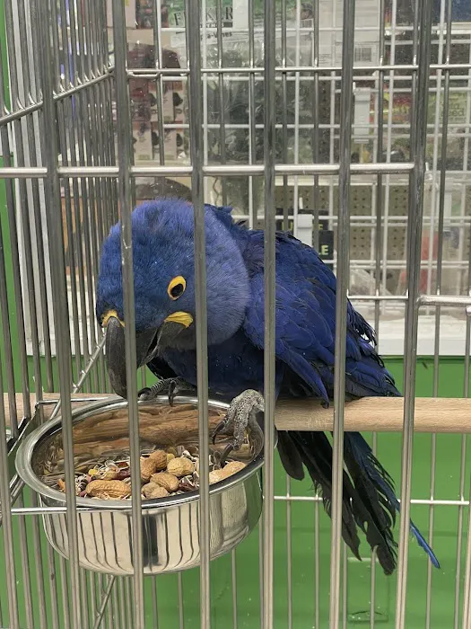 Pet Shop Picture 2