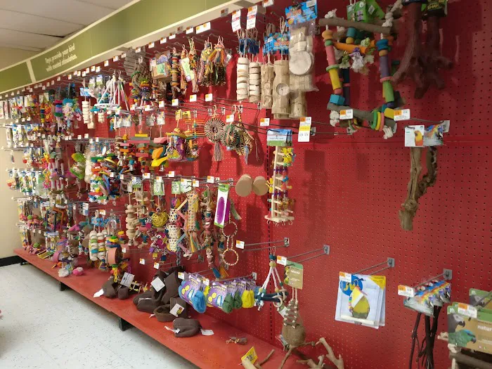 Petco Picture 9