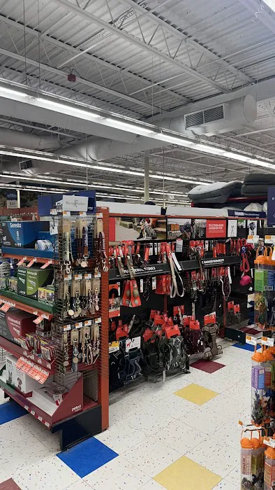 Petco Picture 7