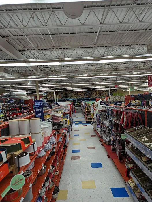 Petco Picture 3