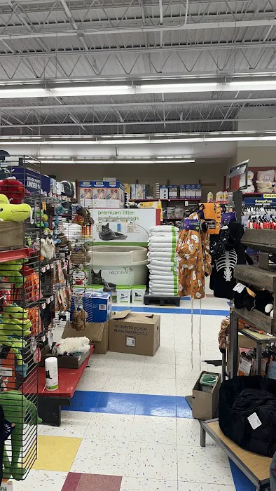 Petco Picture 4