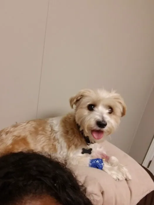 North Fork Animal Hospital Picture 6
