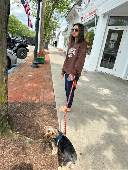 Sandy Paws Veterinary Clinic - Dr Molly Miosek Picture 1