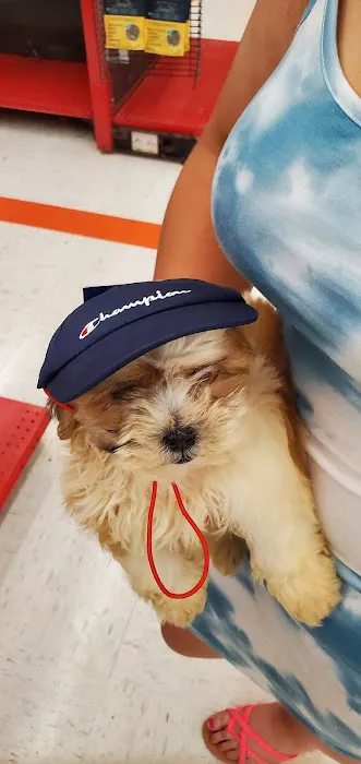 Petco Picture 3