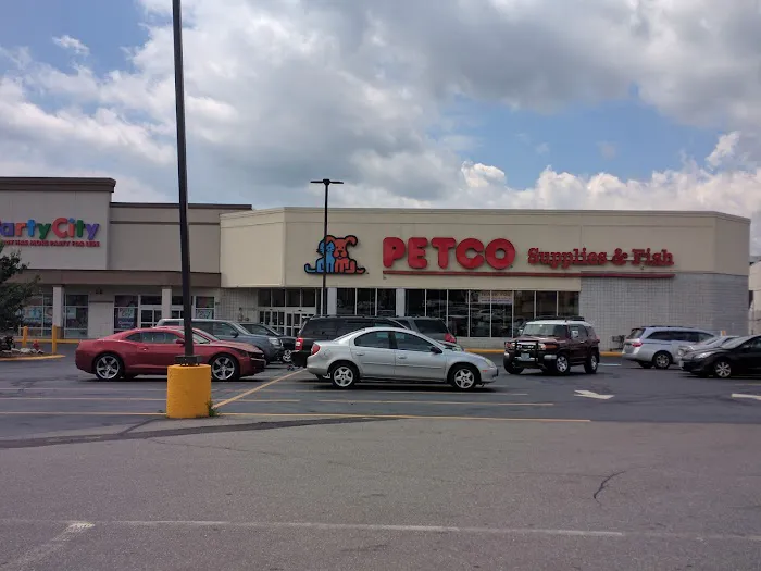Petco Picture 10