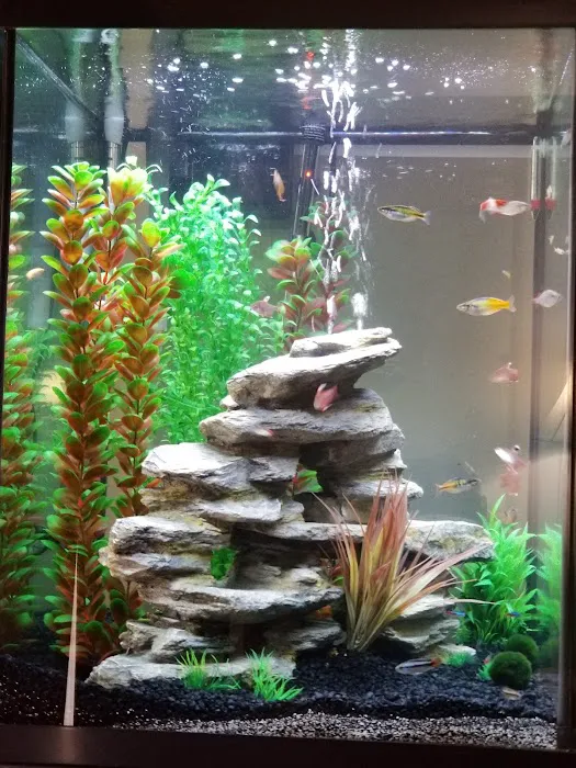 Fish Mike Aquatics Picture 2