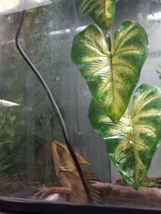 Fish Mike Aquatics Picture 1