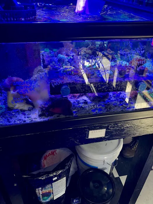 Fish Mike Aquatics Picture 6