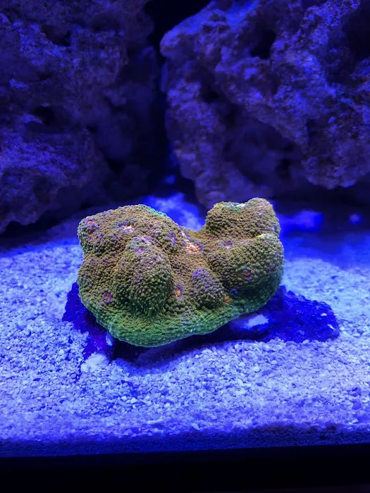 Fish Mike Aquatics Picture 8