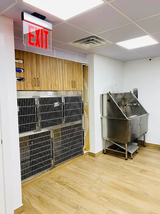 Community Veterinary Medicine Picture 10