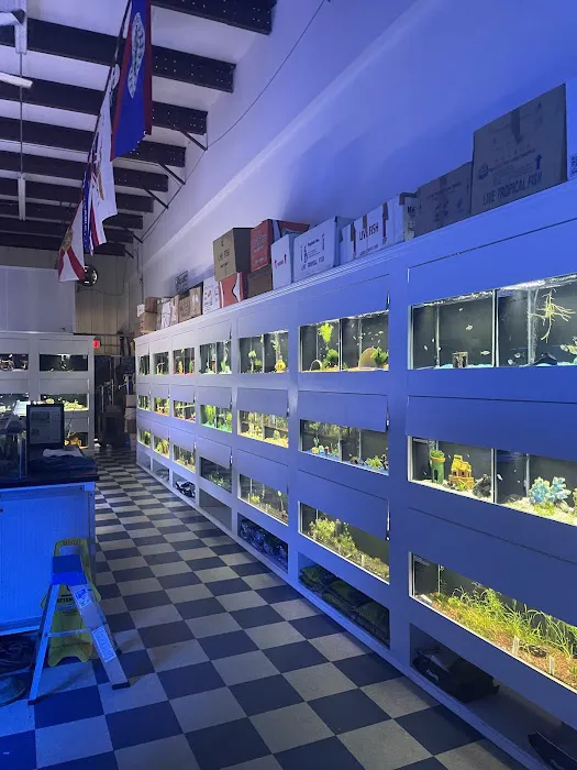 The Aquarium Gallery Picture 1