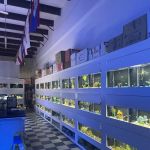 The Aquarium Gallery