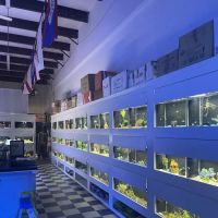 The Aquarium Gallery ico