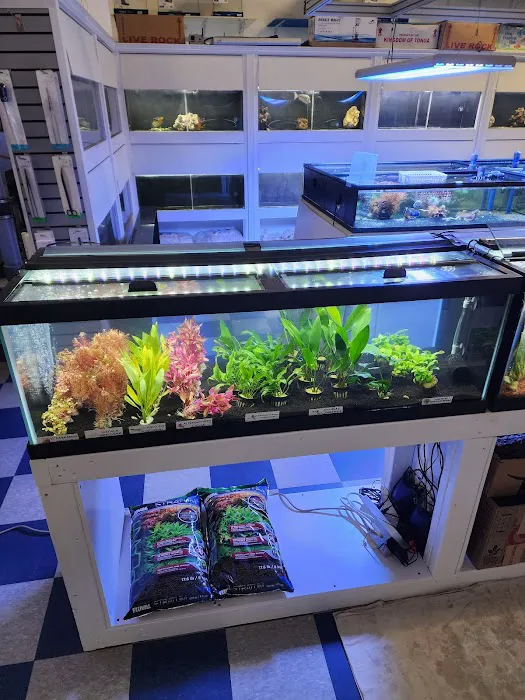 The Aquarium Gallery Picture 7