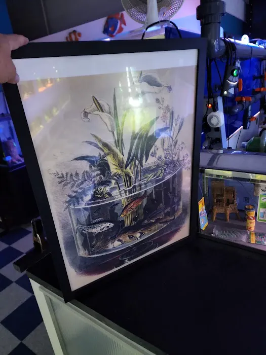 The Aquarium Gallery Picture 3