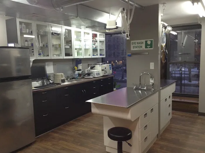 Heart of Harlem Veterinary Clinic Picture 9