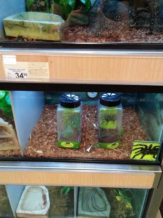 Petco Picture 5