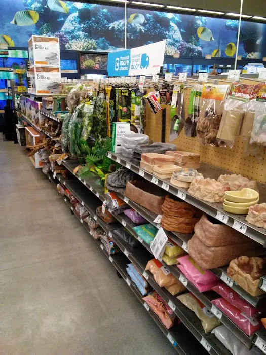 Petco Picture 3