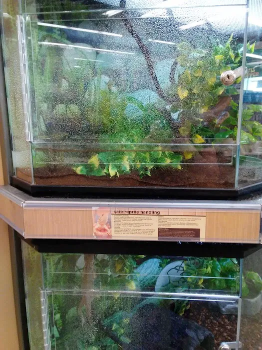 Petco Picture 2