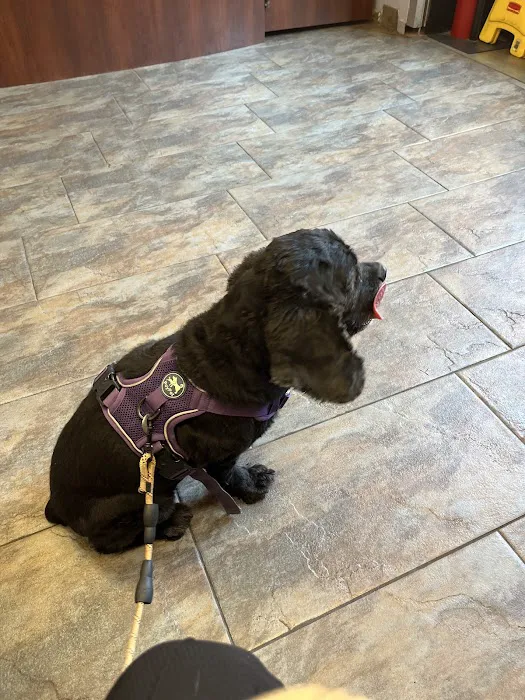 Harlem Animal Hospital Picture 1