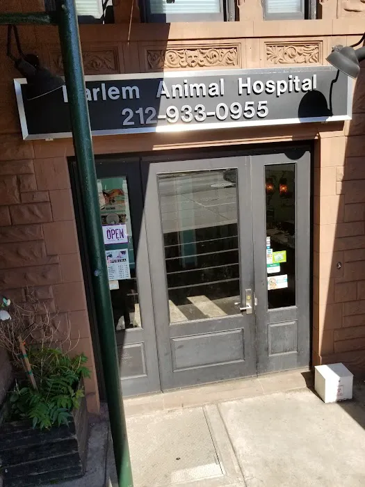 Harlem Animal Hospital Picture 9