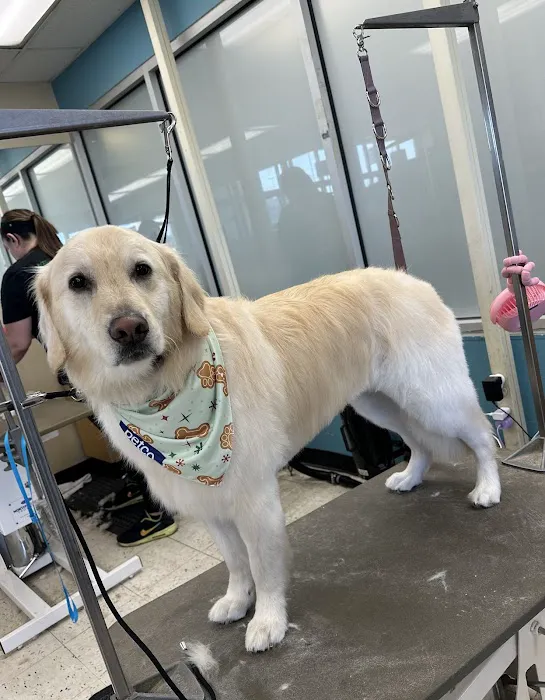 Petco Picture 9