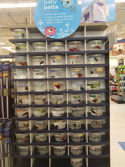 Petco Picture 6