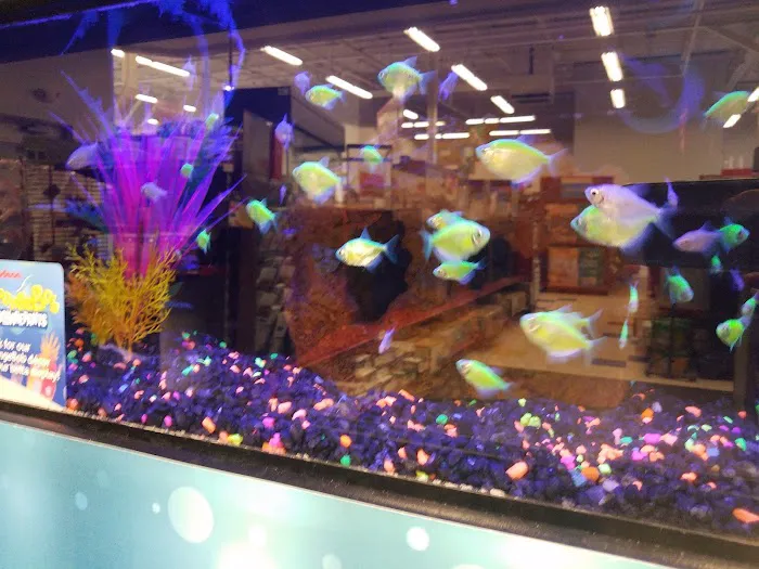 Petco Picture 5