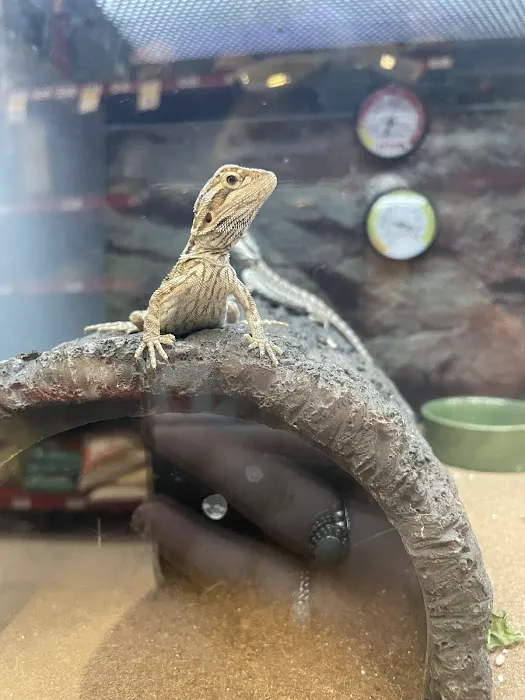 Petco Picture 7