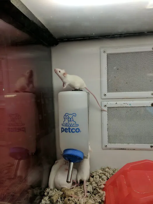 Petco Picture 4