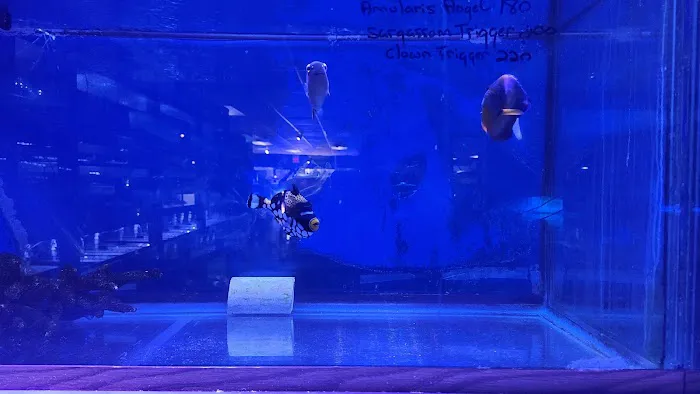 Jay's Aquatics Picture 3