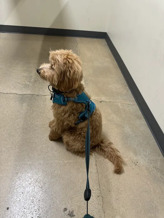 Vetco Total Care Animal Hospital Picture 2
