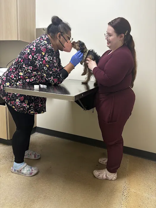 Vetco Total Care Animal Hospital Picture 4