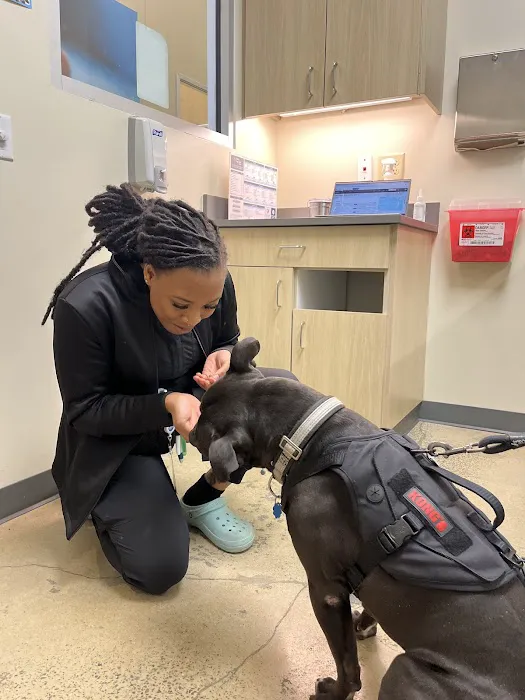 Vetco Total Care Animal Hospital Picture 1