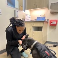 Vetco Total Care Animal Hospital ico