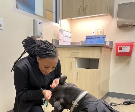 Vetco Total Care Animal Hospital