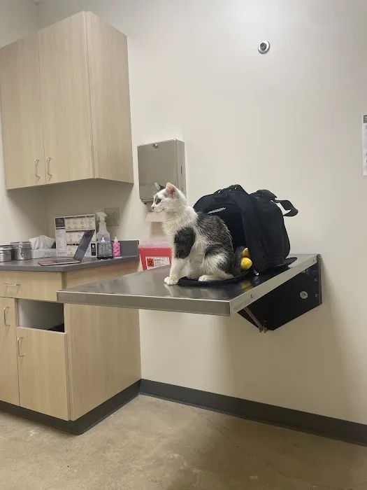 Vetco Total Care Animal Hospital Picture 3