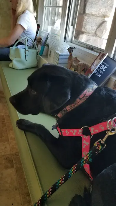 Pelham Animal Hospital Picture 6