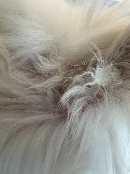 The Dirty Doodle Picture 8