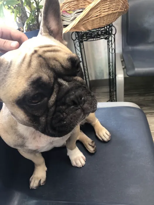 Manor Veterinary Clinic Picture 3
