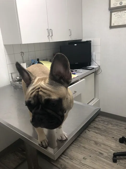 Manor Veterinary Clinic Picture 2