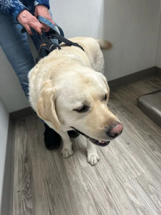 Manor Veterinary Clinic Picture 9