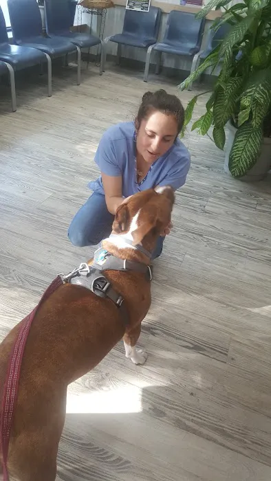 Manor Veterinary Clinic Picture 6