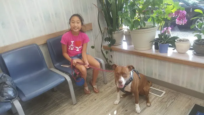 Manor Veterinary Clinic Picture 7