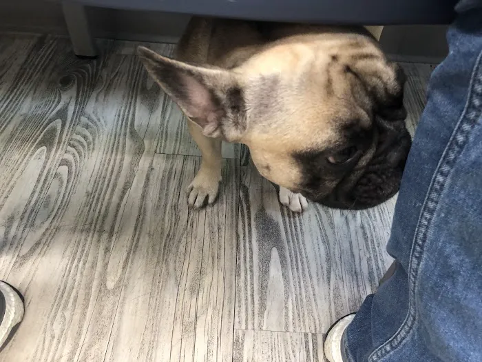 Manor Veterinary Clinic Picture 8